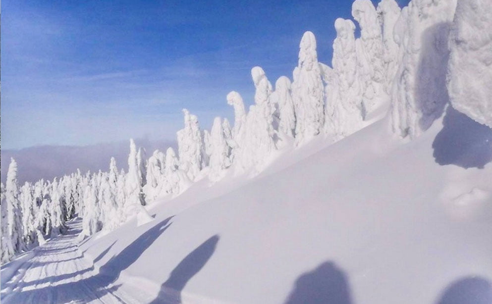 Spectaculosul Traseu ATV Apuseni de pe Valea Iadului Stana-de-Vale